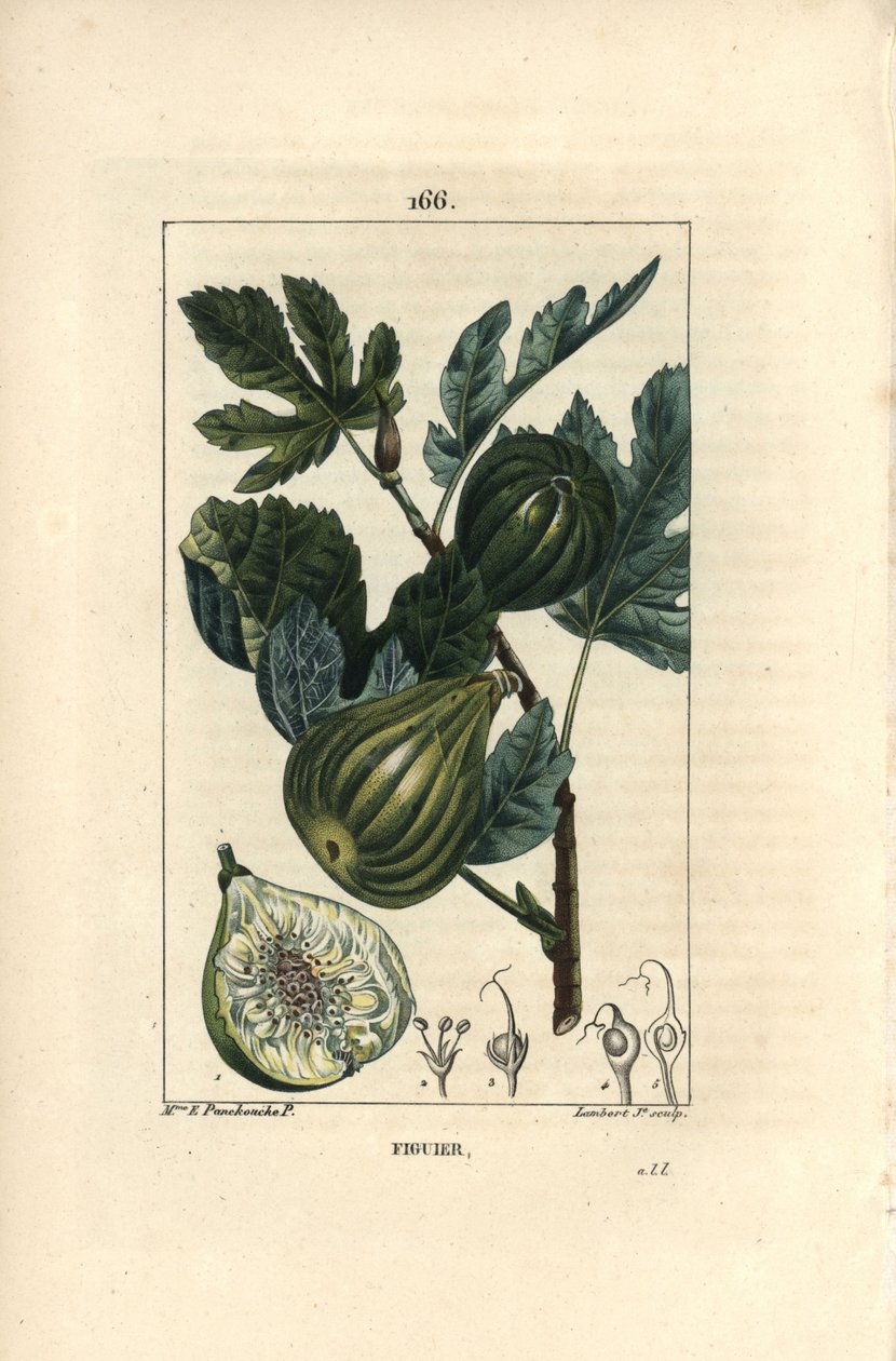 Závěsný od Ernestine Panckoucke