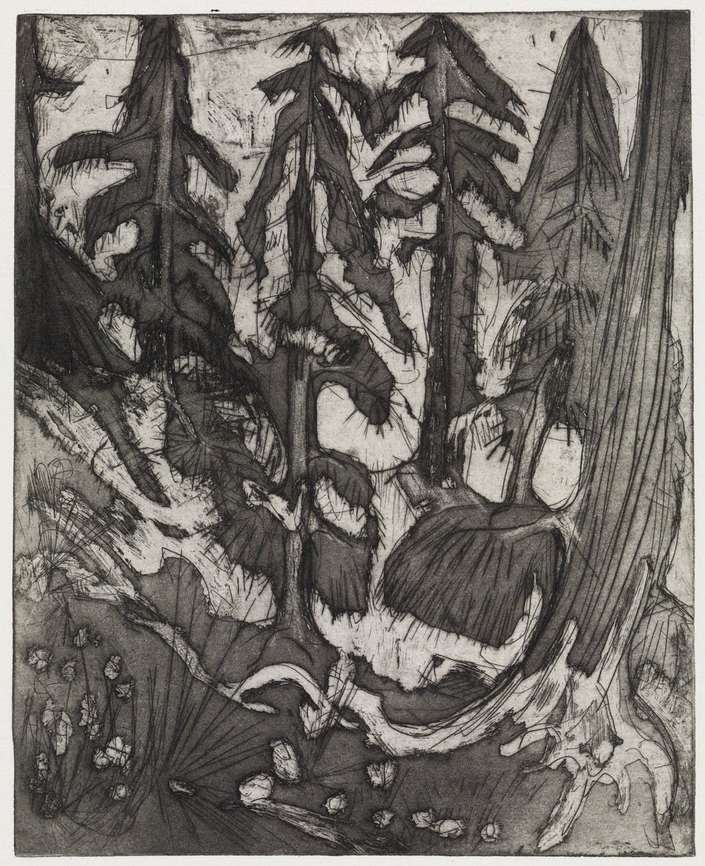 horský les od Ernst Ludwig Kirchner