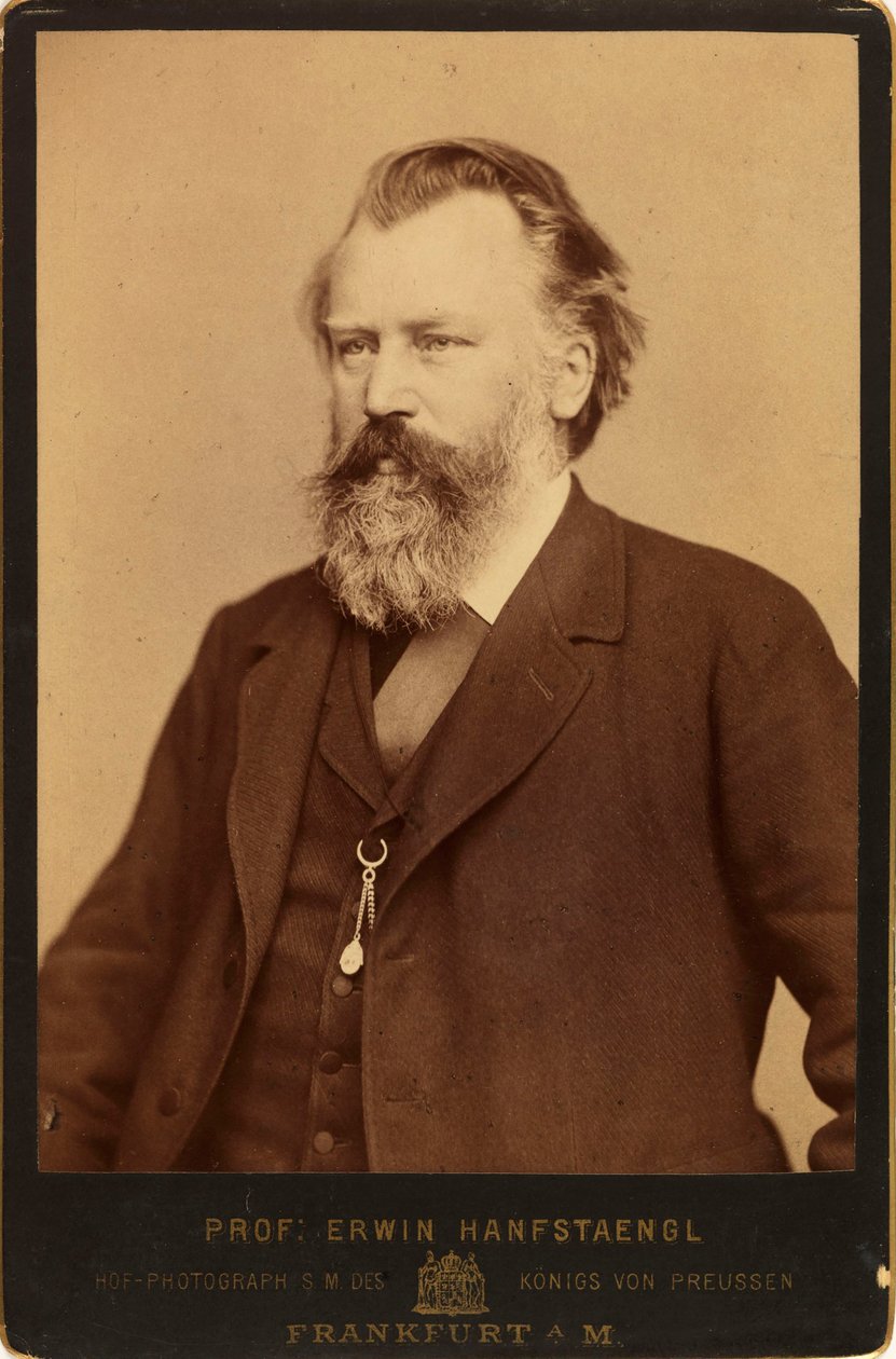 Portrét skladatele Johannese Brahmse 1833-1897, c. 1870. od Erwin Hanfstaengl
