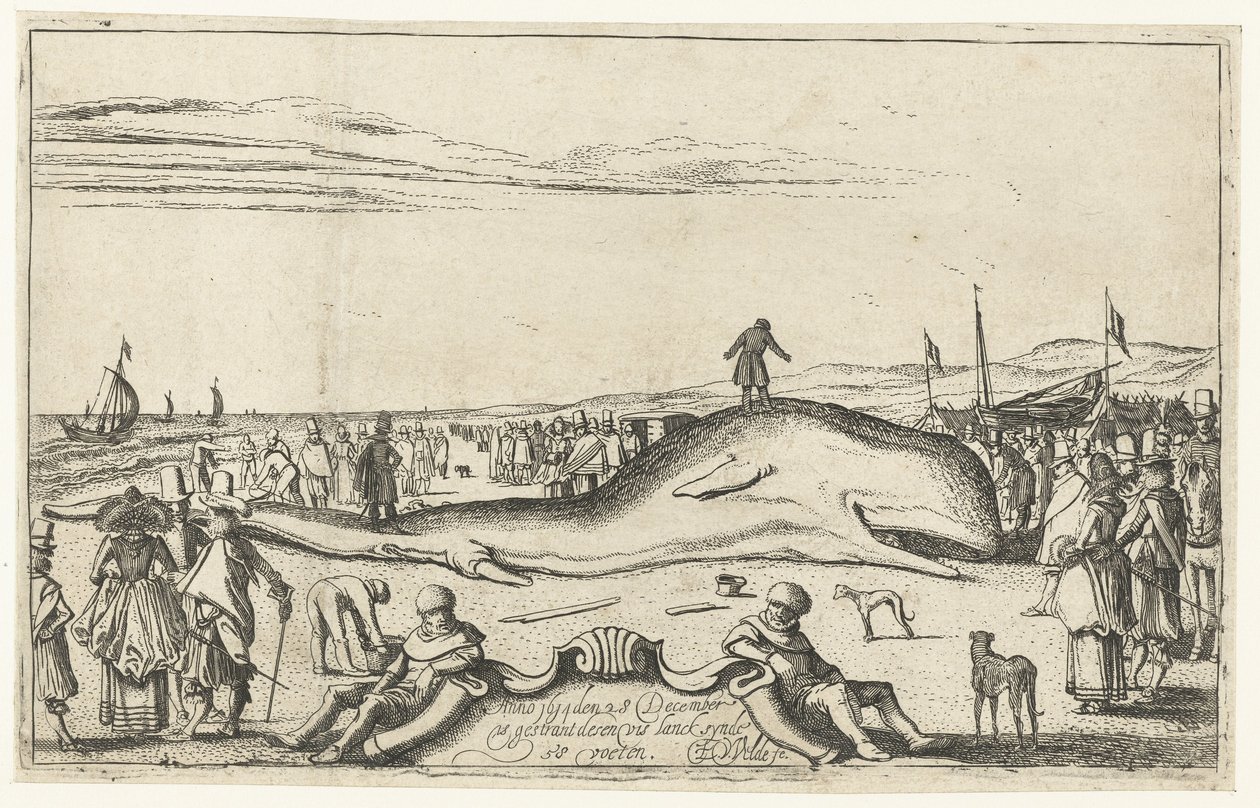 Pobřežní velryba na pláži v Noordwijk, 1614 od Esaias van de Velde