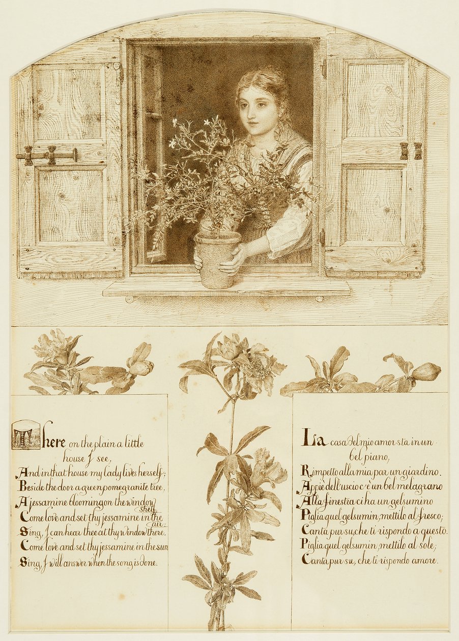 Jessamine Window, přitahující se k 