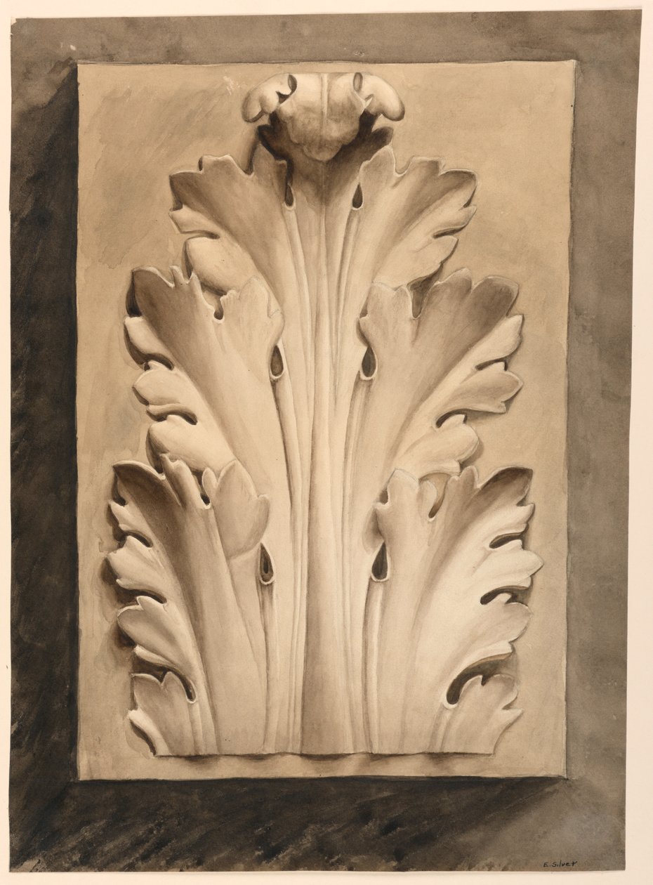 Kresba, list Acanthus: ze sádry od Esther Silver