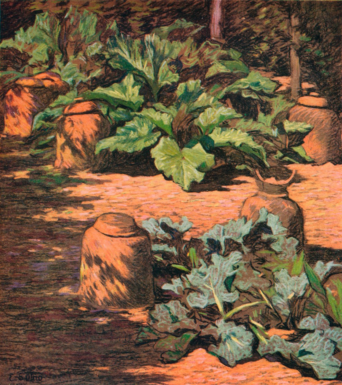 Rebarbora a Seakale, c1927 od Esther Sutro