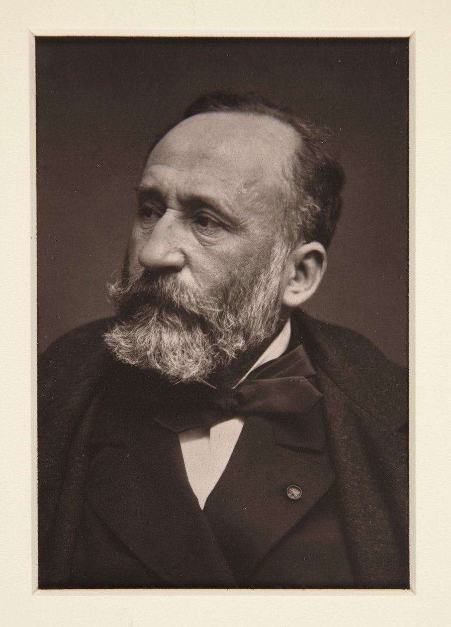 Portrét Pierra Puvis de Chavannes (1824-1898) od Etienne Carjat