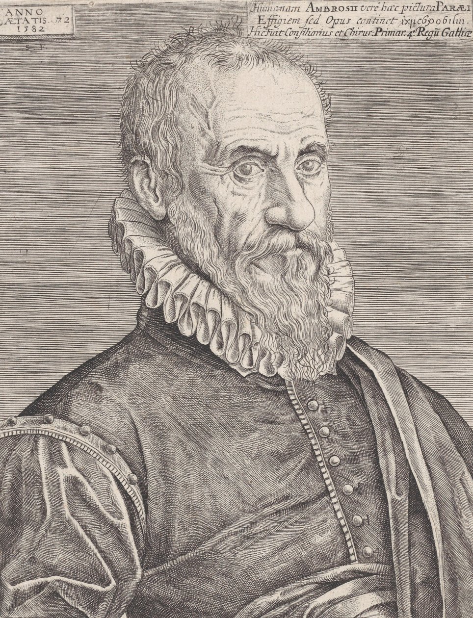 Portrét Ambroise Paré, králova chirurga, 1582. od Etienne Delaune