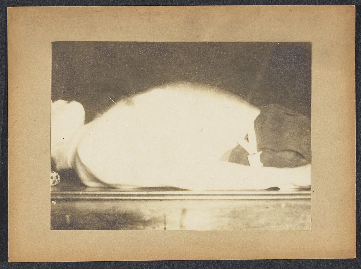 Marey ve studii dýchání od Etienne Jules Marey