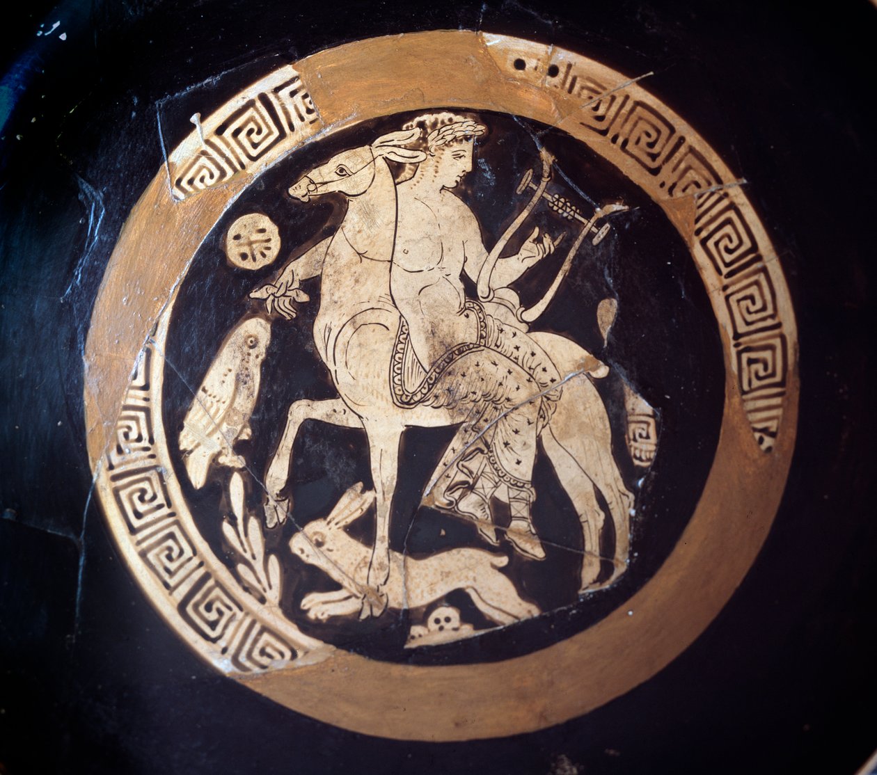 Kylix s vyobrazením Apollóna na muletu, terakota, 4. století před naším letopočtem od Etruscan