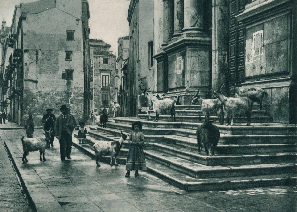 Kozy na schodech katedrály, Palermo, Sicílie, Itálie, 1927 od Eugen Poppel