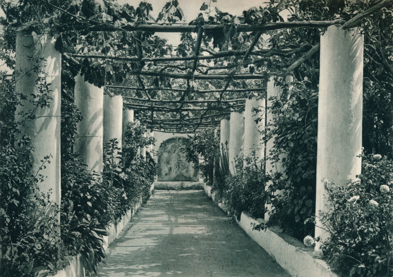 Pergola na vinici, Capri, Itálie, 1927 od Eugen Poppel