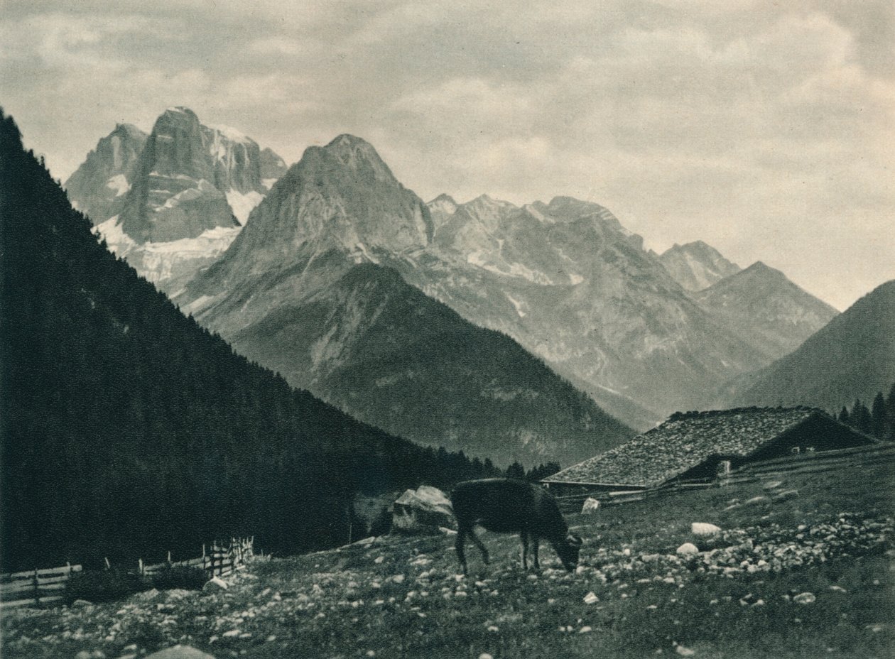 Pohled na skupinu Brenta s alpskou pastvinou, Madonna di Campiglio, Dolomity, Itálie, 1927 od Eugen Poppel