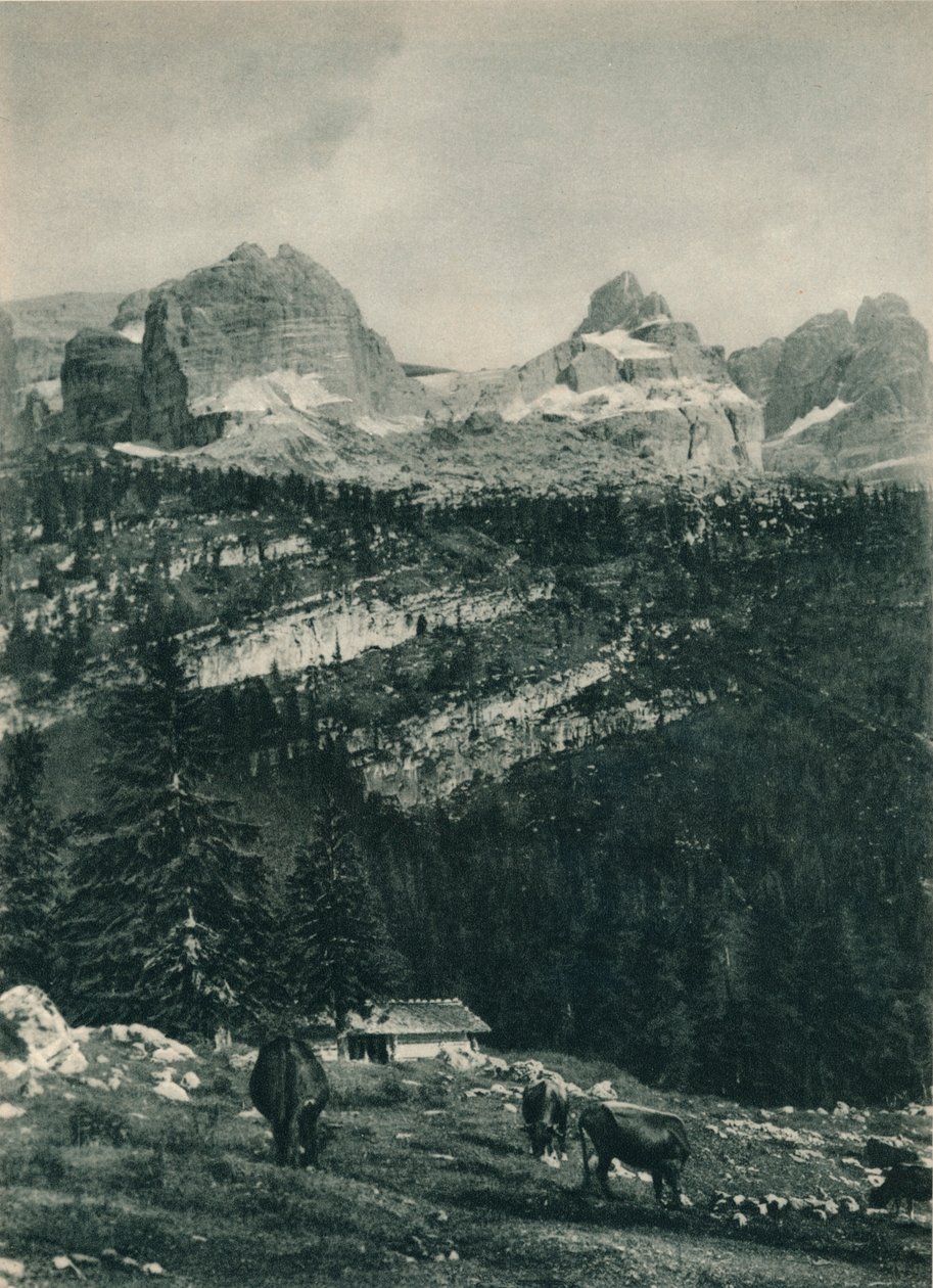 Pohled na skupinu Brenta s alpskou pastvinou, Madonna di Campiglio, Dolomity, Itálie, 1927 od Eugen Poppel