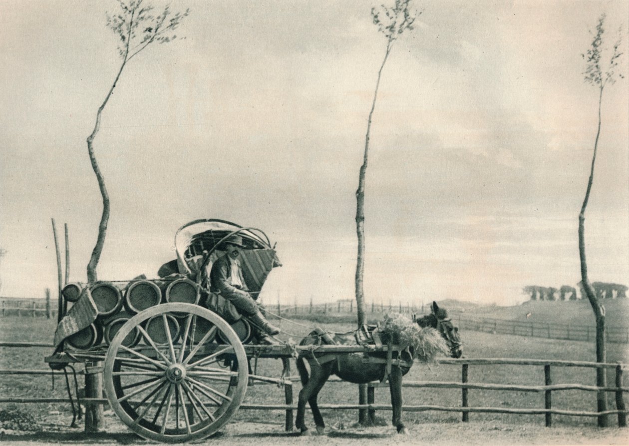 Přepravce vína v Campagna, Řím, Itálie, 1927 od Eugen Poppel