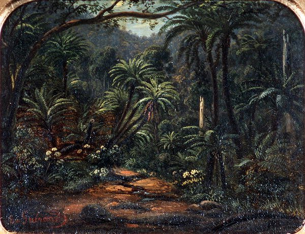 Ferntree Gully v pohoří Dandenong od Eugen von Guerard