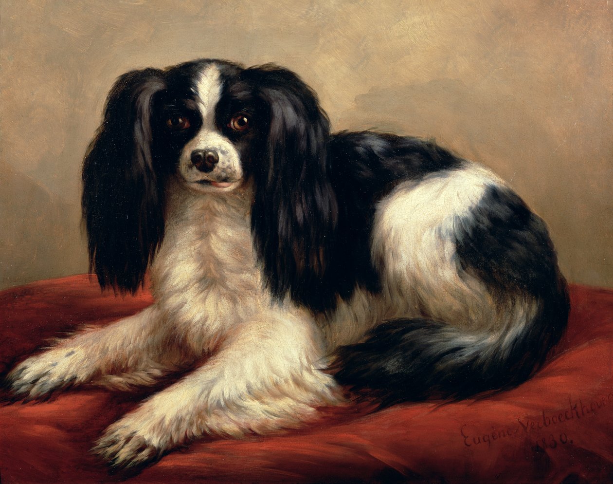 King Charles španěl sedící na červeném polštáři od Eugene Joseph Verboeckhoven