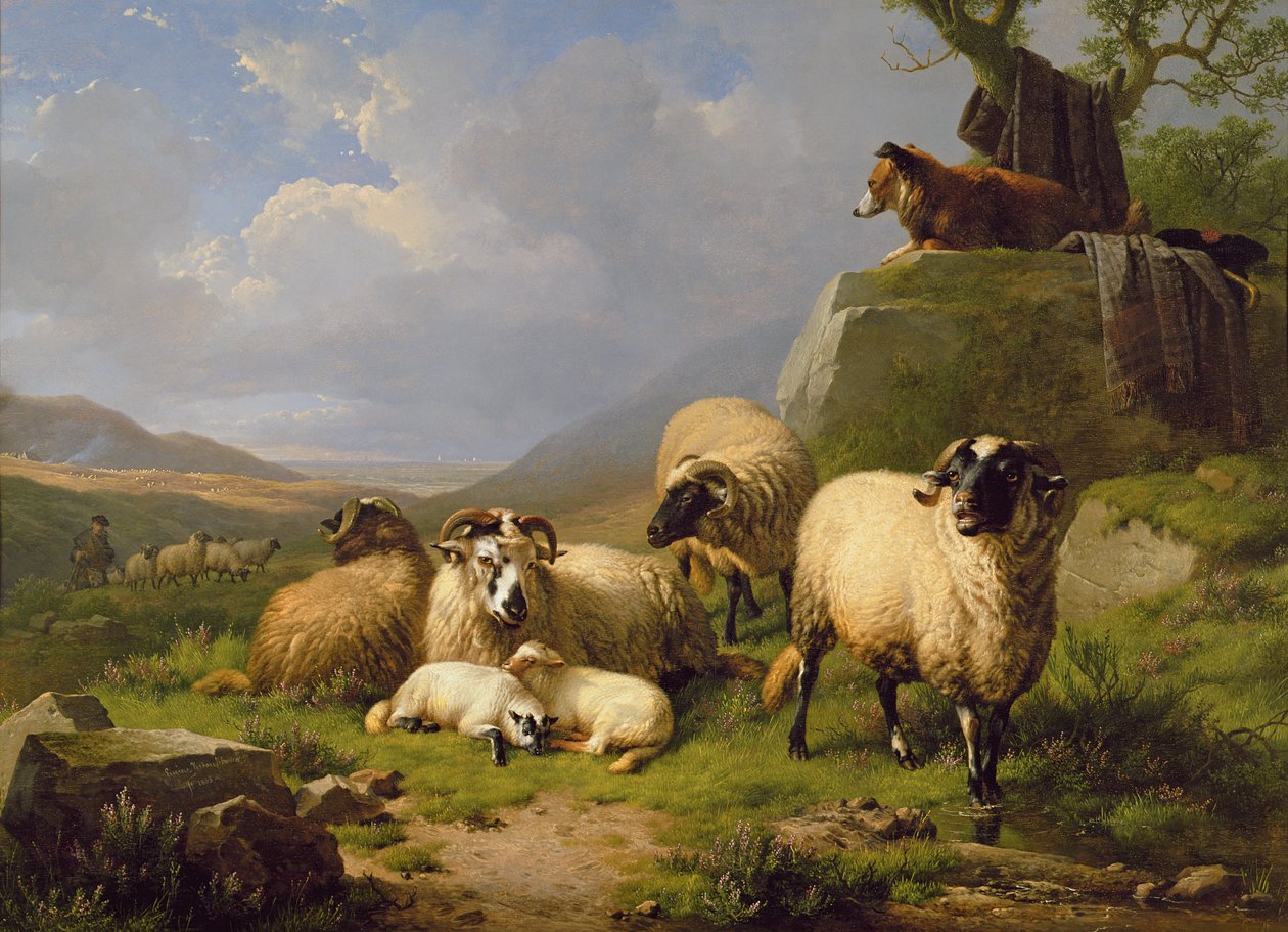 Ovce v krajině, 1863 od Eugene Joseph Verboeckhoven