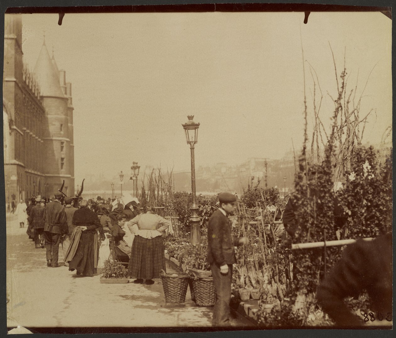[Květinový trh] od Eugène Atget