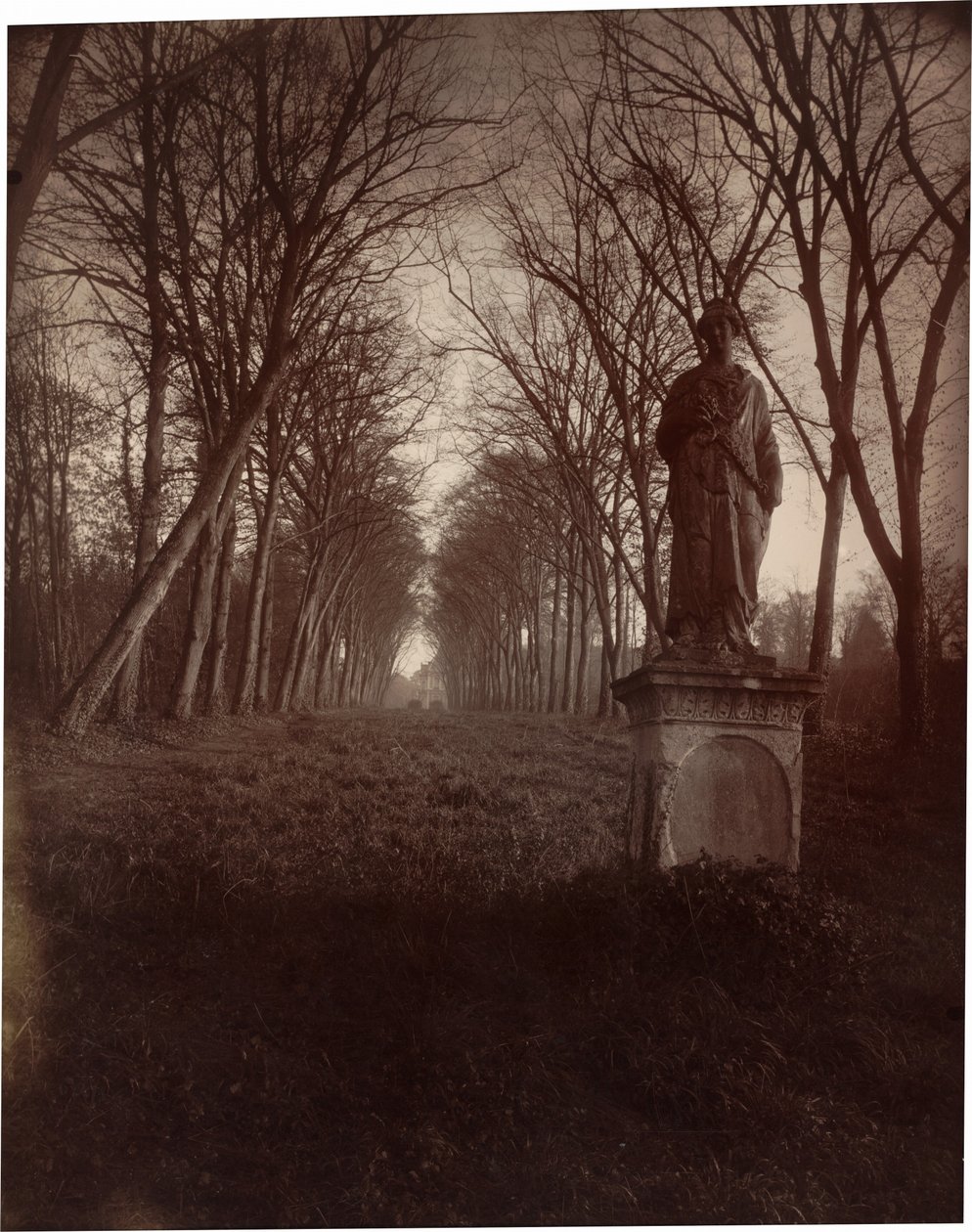 Parc de Sceaux, 1925 (foto) od Eugène Atget