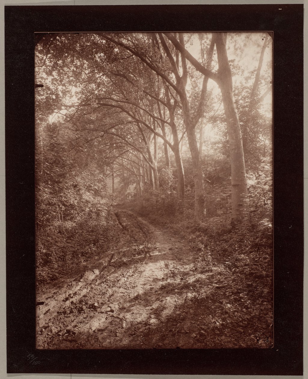 Park Sceaux od Eugène Atget