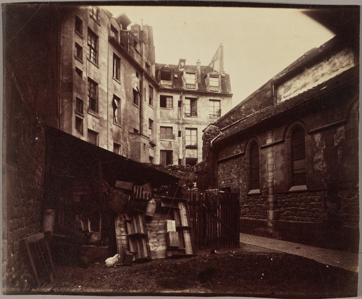 Kout dvora, Saint-Julien-le-Pauvre, Paříž od Eugène Atget