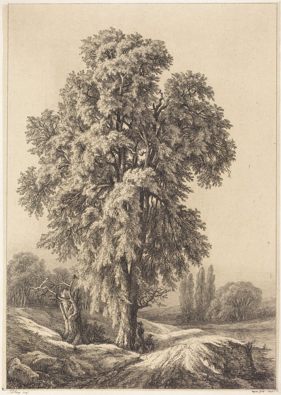 Jilm od Eugene Bléry
