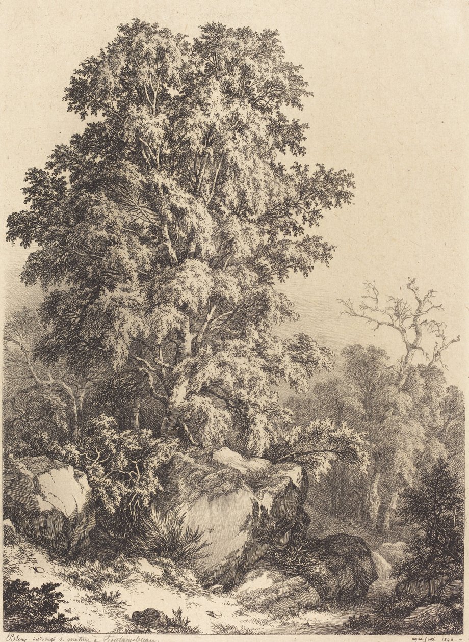 Bukový háj, 1840. od Eugene Bléry