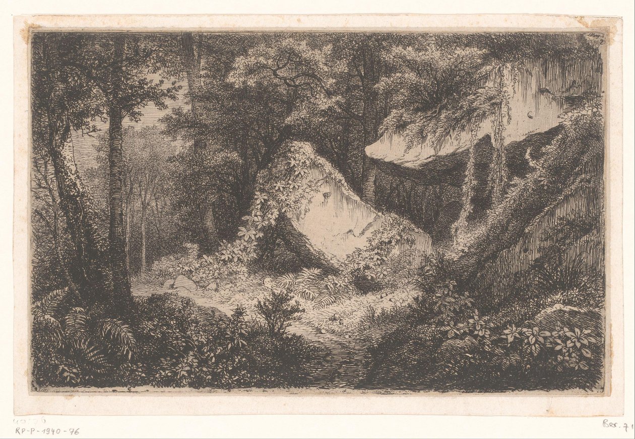 Begroeide rotsen in een bos Bílé skály Sada 8 leptů vyrytých do přírody poblíž Dampierre od Eug. Bléry (název série) od Eugene Bléry