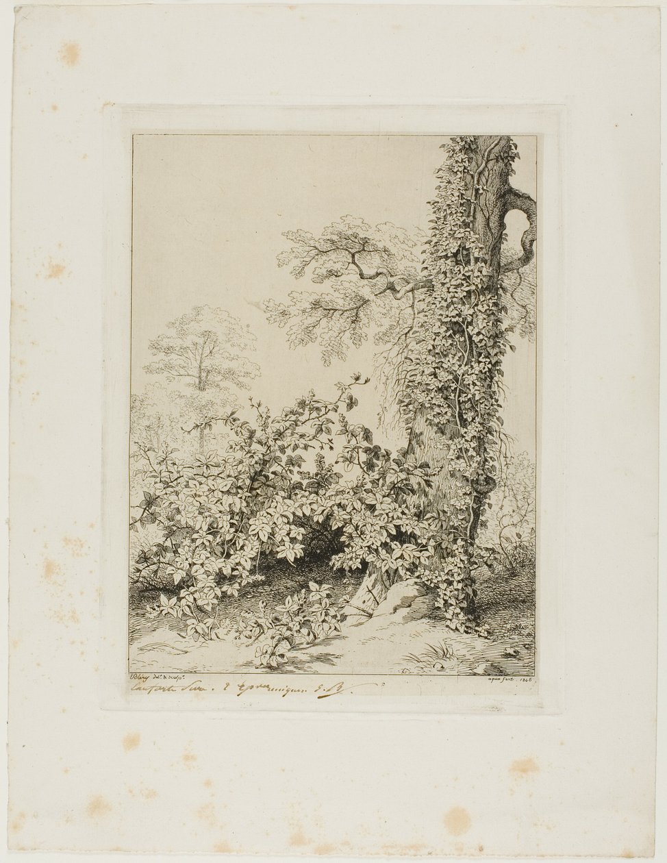 Bramble a Ivy od Eugene Bléry