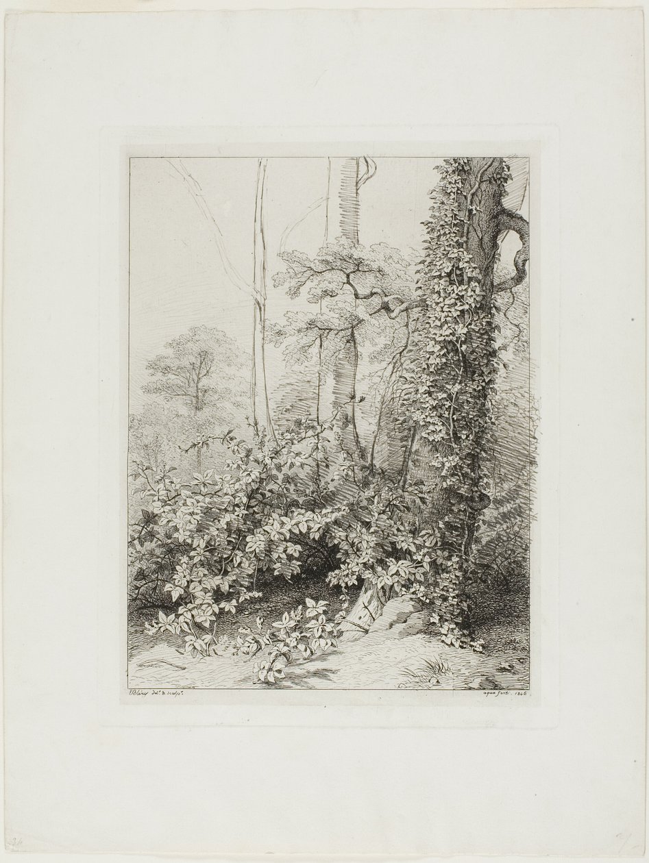 Bramble a Ivy od Eugene Bléry