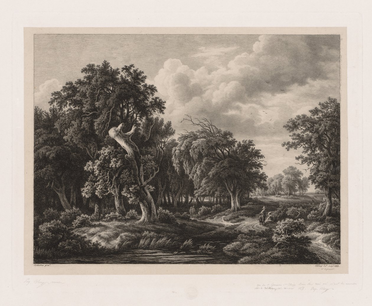 Skupiny různých rostlin nakreslených podle přírody: č. 7, 1855. od Eugene Bléry