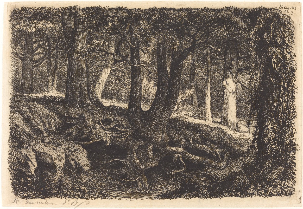 Strom s kořeny, publikoval 1849. od Eugene Bléry