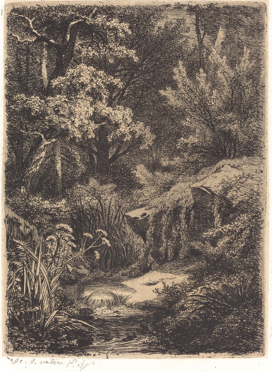 Le petit ruisseau The Little Brook, publikoval 1849. od Eugene Bléry