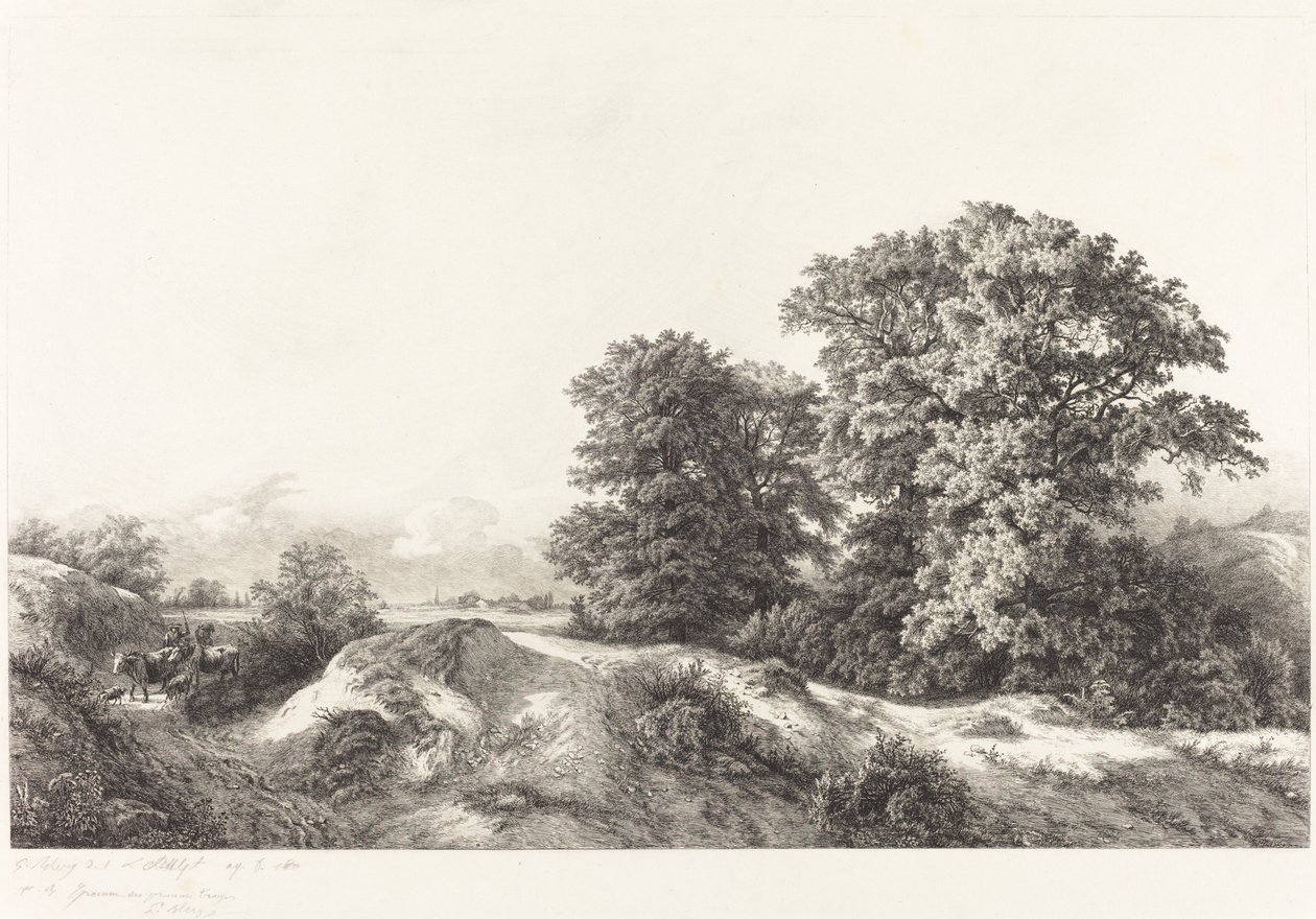 Duby ve Vaux de Cernay od Eugene Bléry