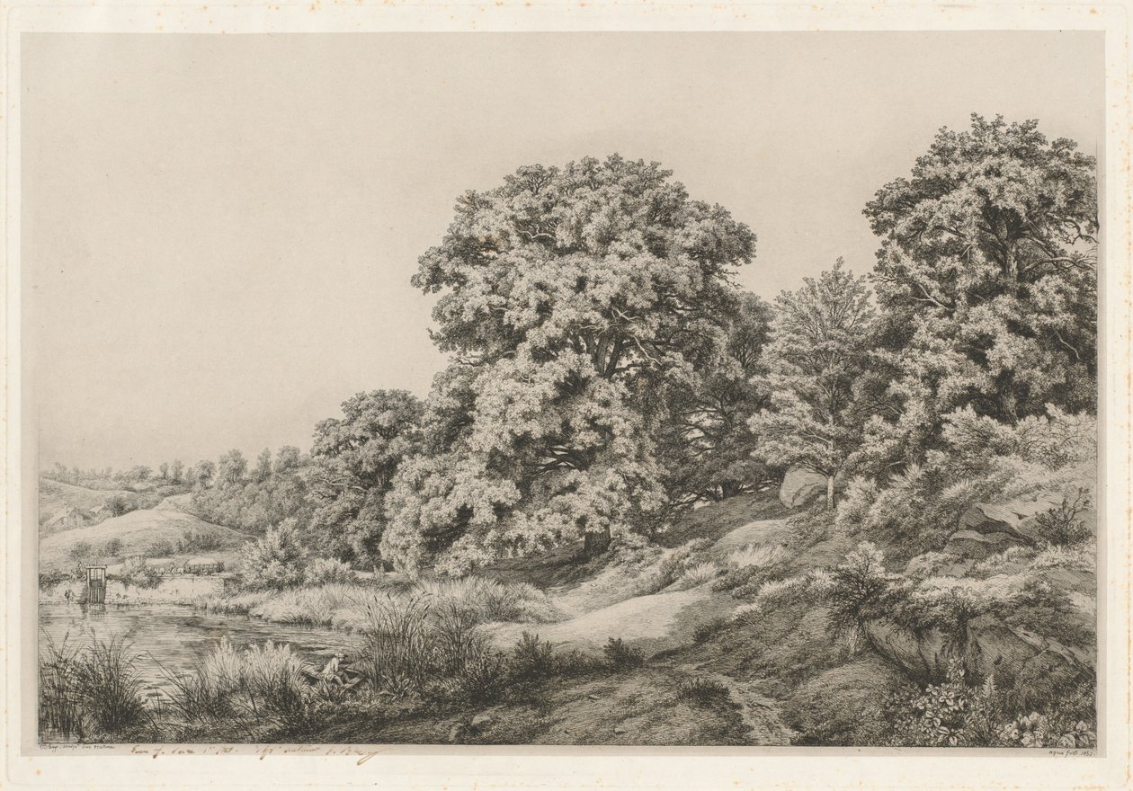 Duby u rybníka, 1852. od Eugene Bléry