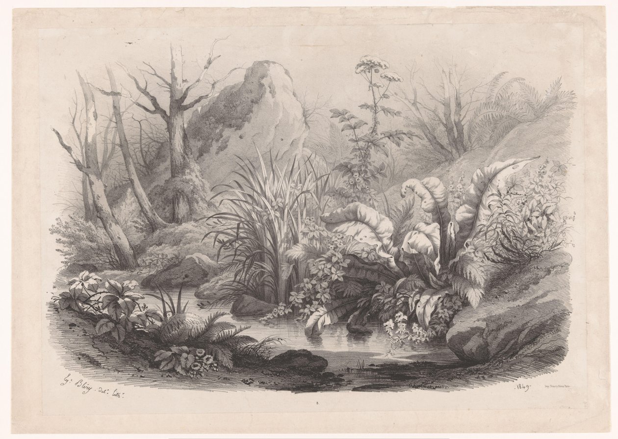 Oeverplanten bij een beek Diverse planten (název série) Skupiny různých rostlin nakreslené na přírodě a litografované (název série) od Eugene Bléry