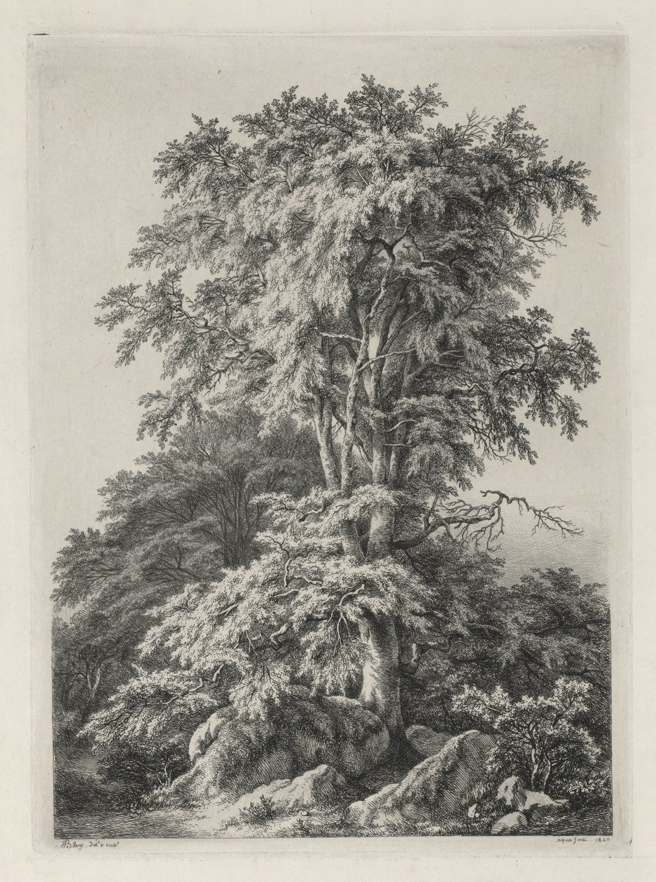 Studie nakreslené a vyryté podle přírody: Pláž, Fontainbleau..., 1840. od Eugene Bléry