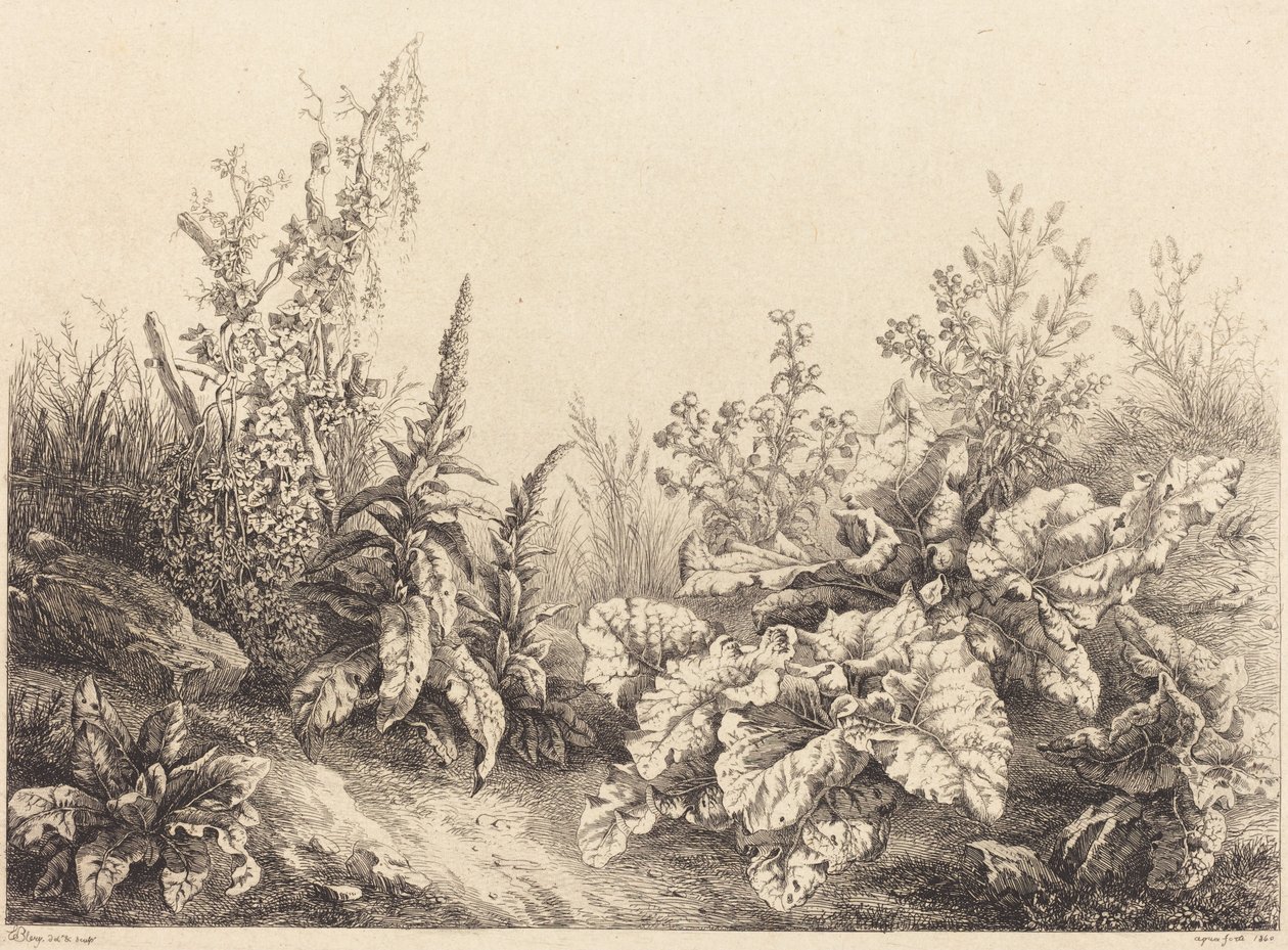 Studie lopuchu od Eugene Bléry