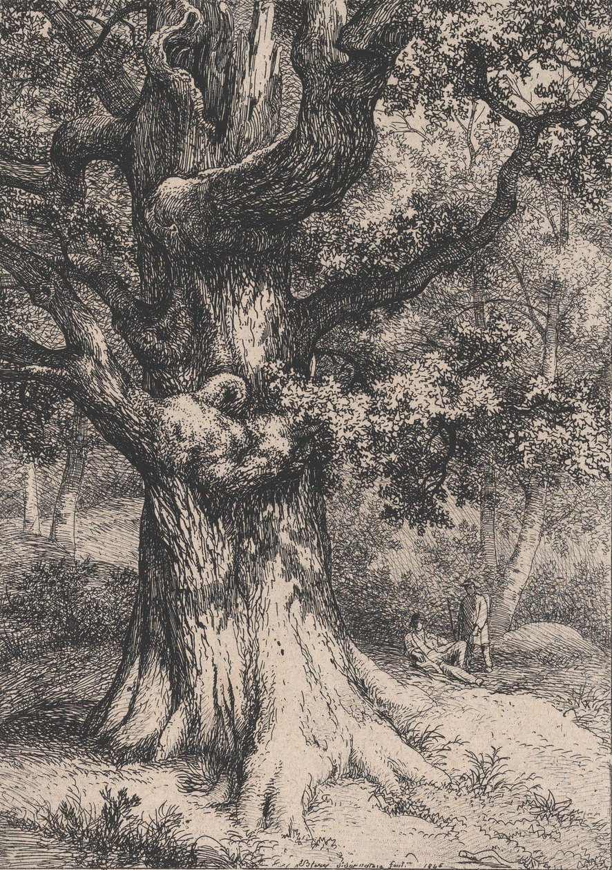 Karel Veliký, Dub s orlím hnízdem, 1845. od Eugene Bléry