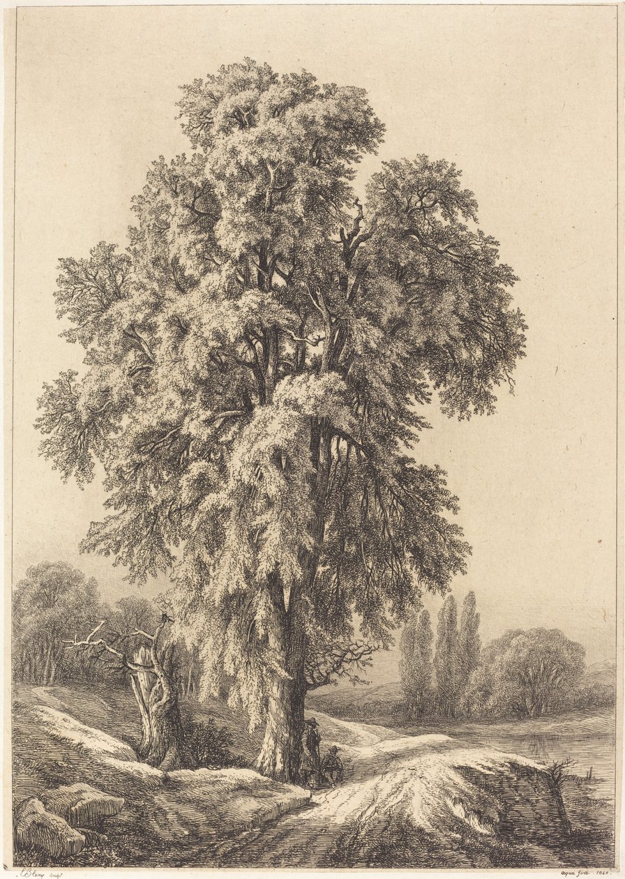 Jilmový strom, 1840. od Eugene Bléry