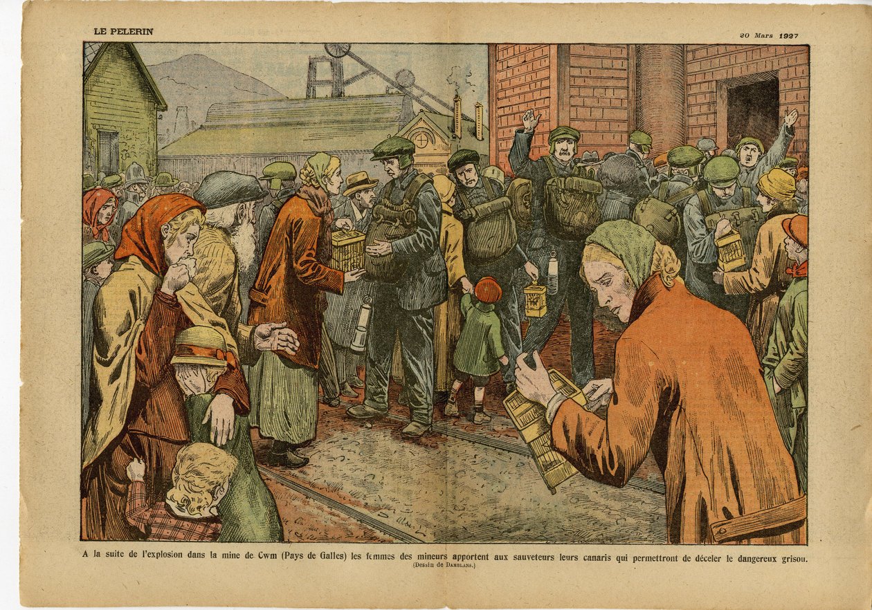 Ilustrace Eugene Damblans (1865-1945) v Le Pelerin, 20/03/27 - Po explozi v dole... ženy horníků přinášejí záchranářům své kanárky, které jim umožňují odradit nebezpečnou vzduchovinu - Anglie Velká Británie , Těžba, Průmysl In od Eugene Damblans