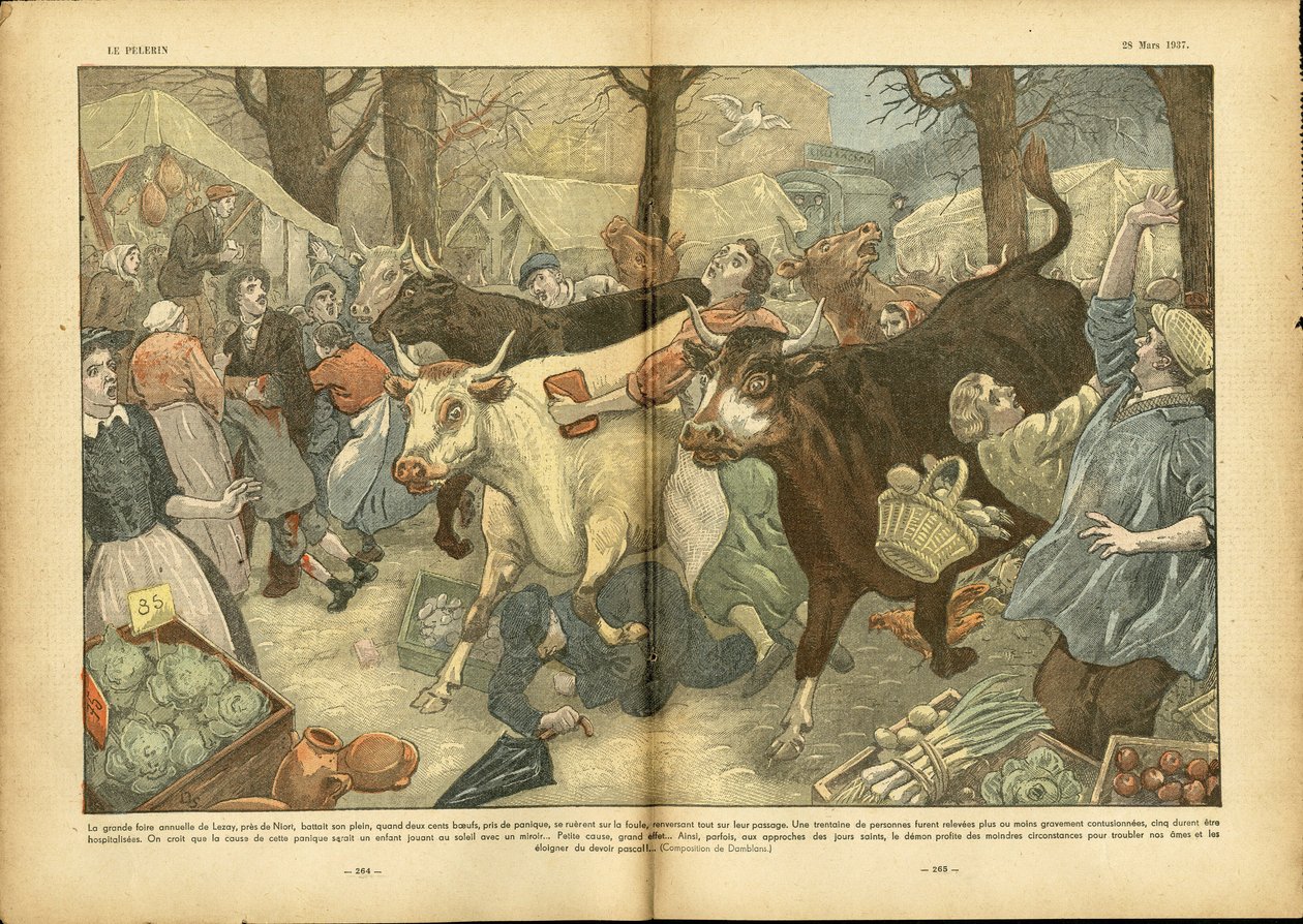Ilustrace Eugene Damblans (1865-1945) v Le Pelerin, 28. 3. 37 - Velký každoroční veletrh Lezay poblíž Niortu - různá fakta, ekonomika, dav, obchody, zemědělství, luštěniny - kráva, hovězí maso, cestující prodejce Camelot od Eugene Damblans