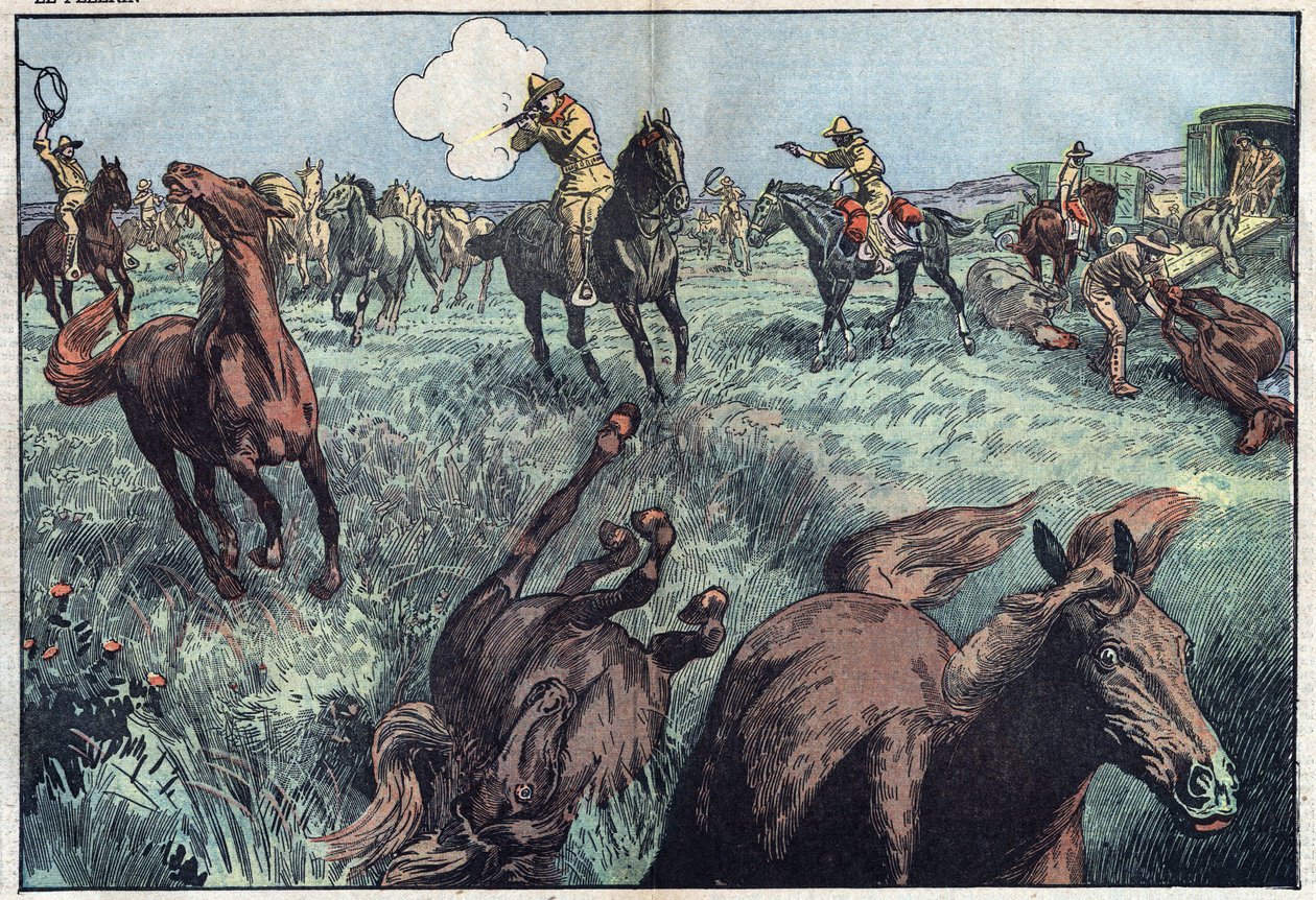 Divocí koně jsou poráženi ve Spojených státech. Ilustrace Damblans. V „Le Pelerin“ z 31. ledna od Eugene Damblans