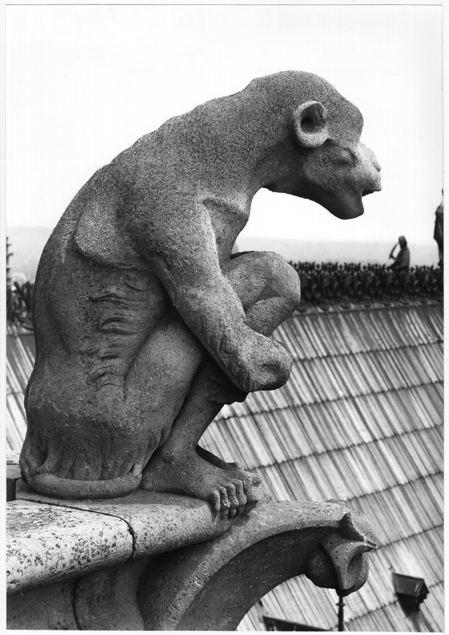 Opičí chrlič, z balustrády Grande Galerie západního průčelí, replika originálu z 12. století (kámen) (čb foto) od Eugene Emmanuel Viollet le Duc