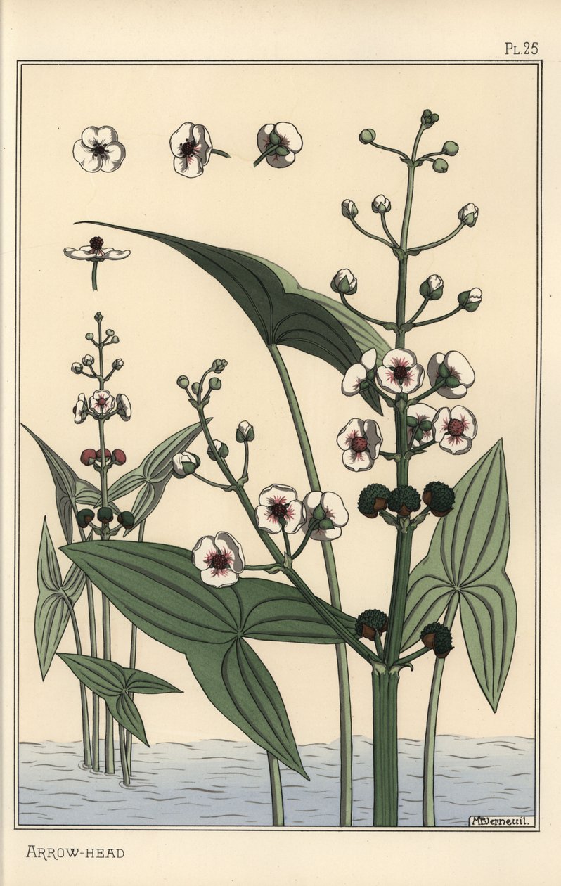 Závěsný od Eugene Grasset