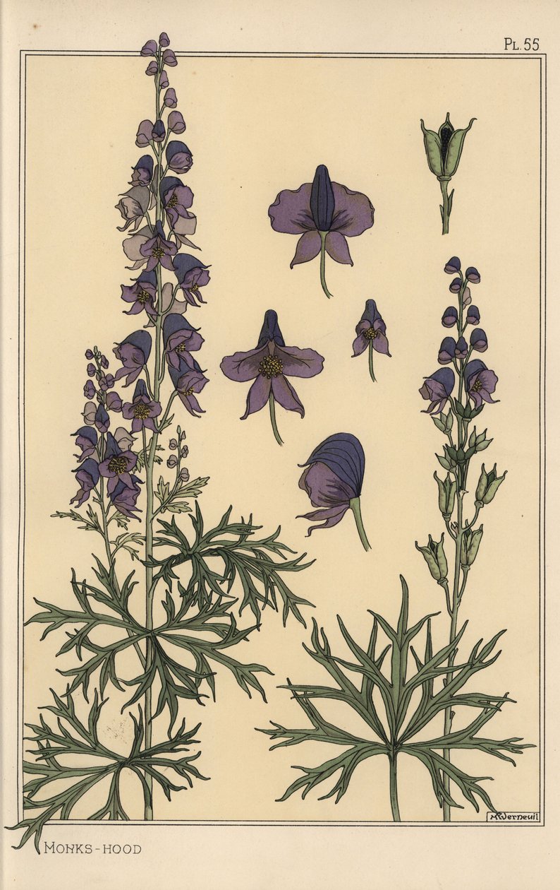 Botanická studie mnichů od Eugene Grasset