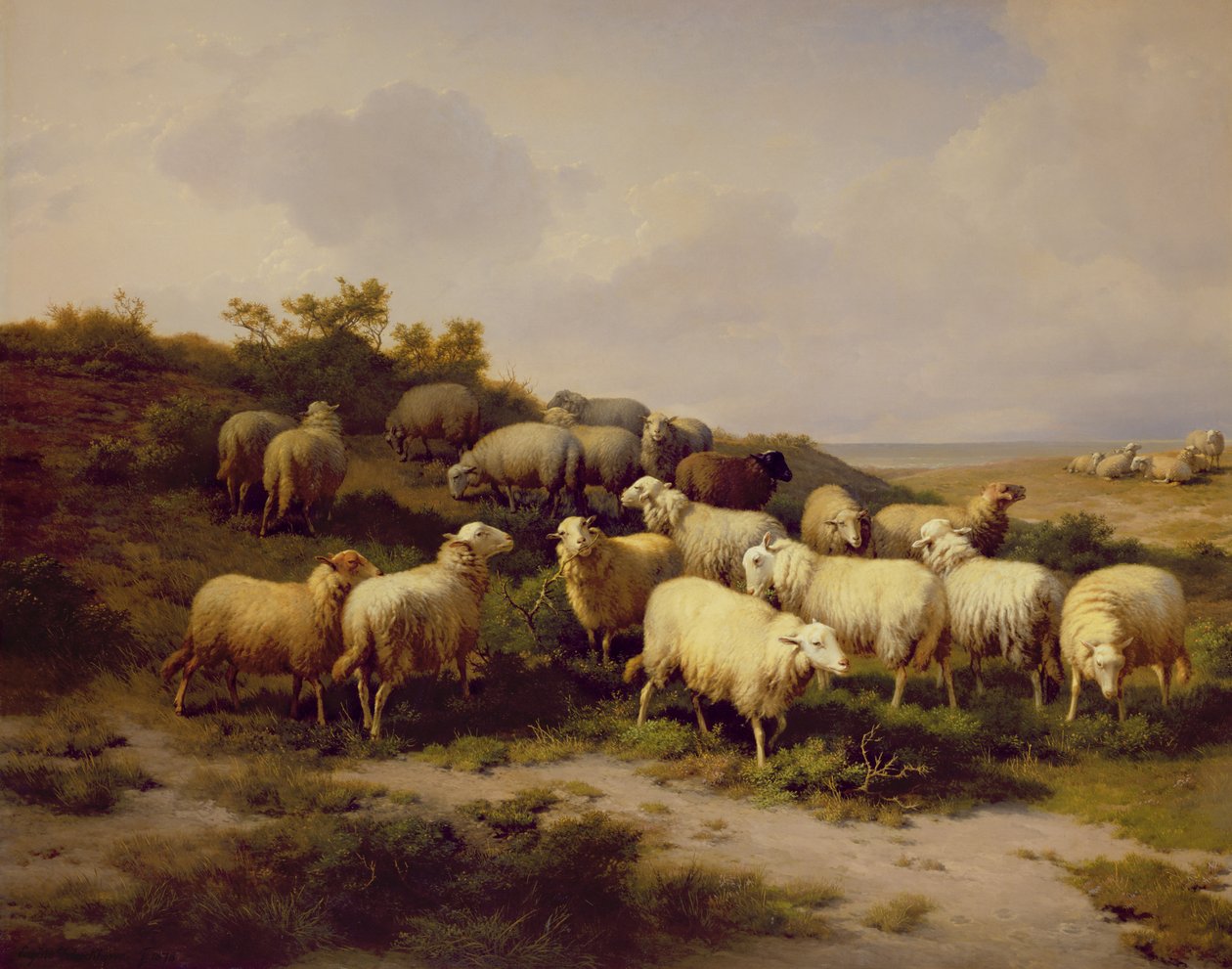 Ovce na pobřeží, 1878 od Eugene Joseph Verboeckhoven