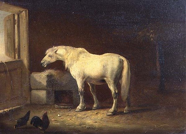 Bílý kůň ve stáji (panel) od Eugene Joseph Verboeckhoven