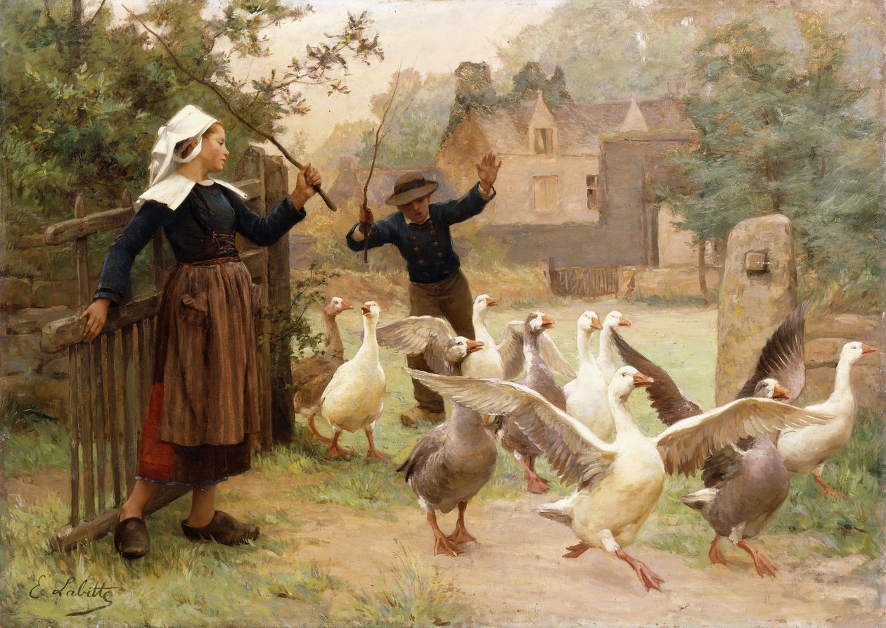 Vedení Gaggle od Eugene Leon Labitte