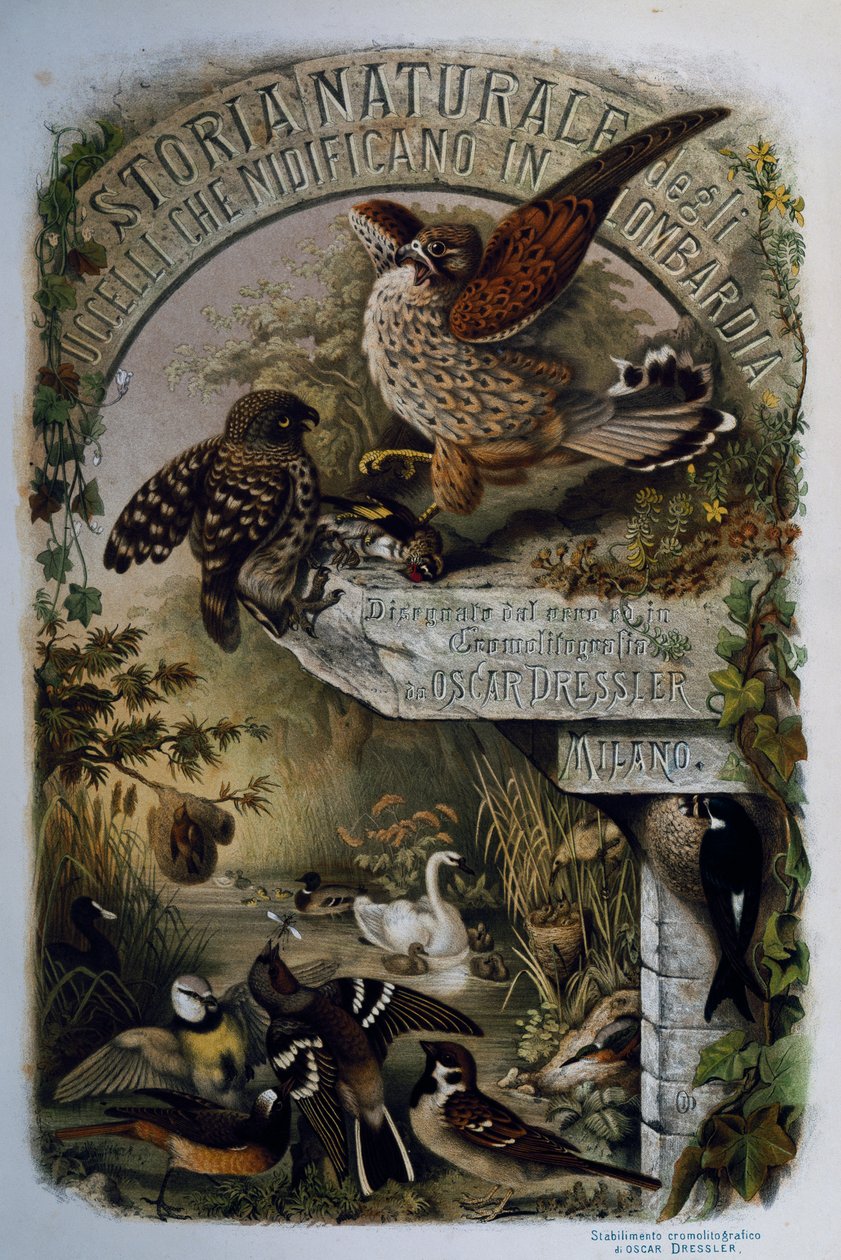 Titulní strana Přírodní historie ptáků, kteří hnízdí v Lombardii, Eugenio Bettoni (1845-1898), rytina Oscar Dressler, Itálie od Eugenio Bettoni, Oscar Dressler