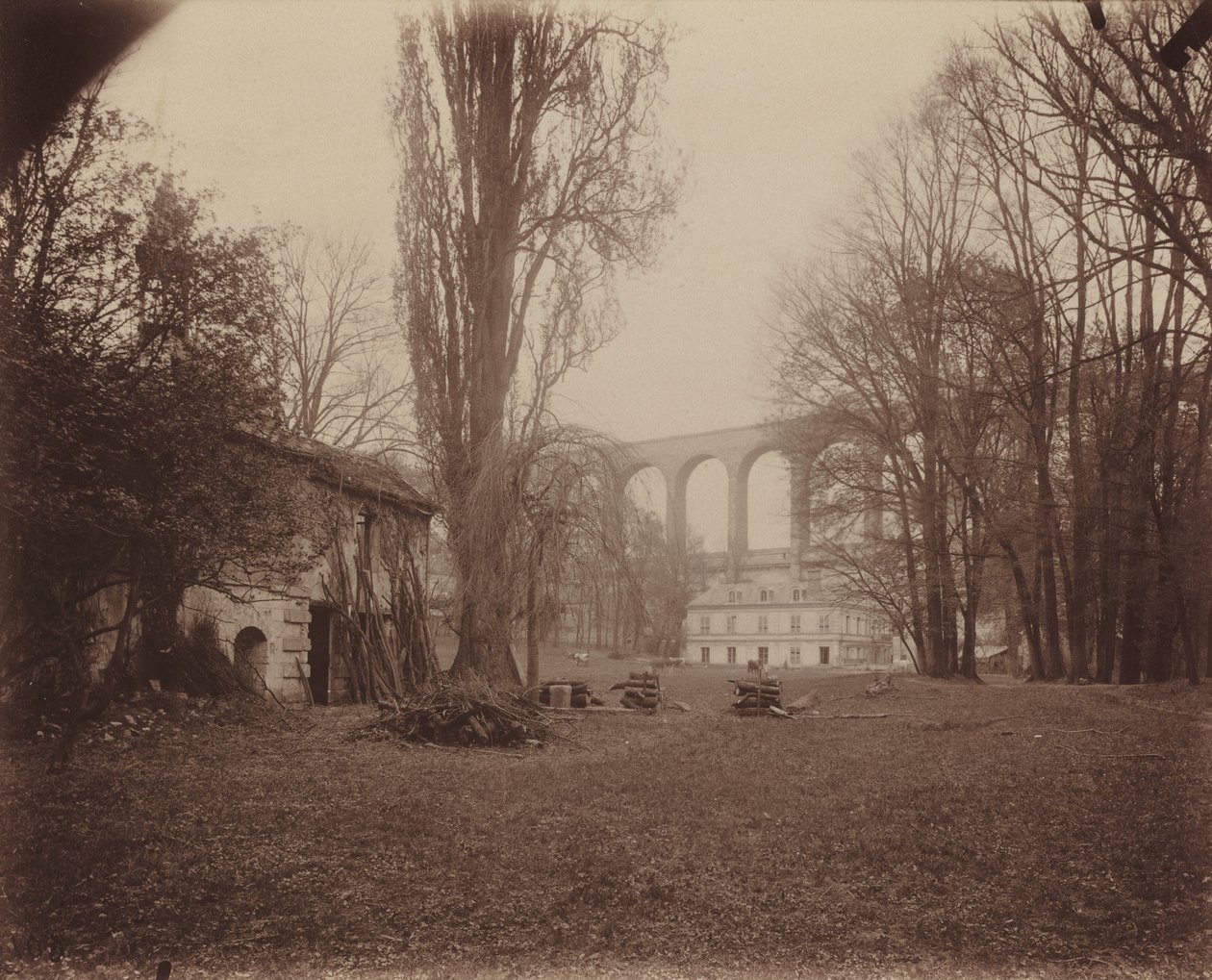Arcueil-Cachan, Park Madame de Provigny od Eugène Atget