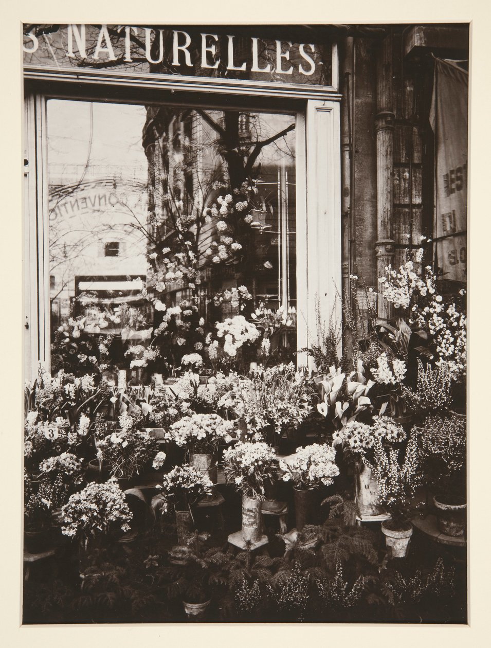 Květinářství -37 (Květinářství) od Eugène Atget